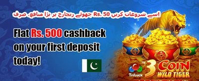 ہاٹ سلاٹس پر مفت اسپنز promotion banner